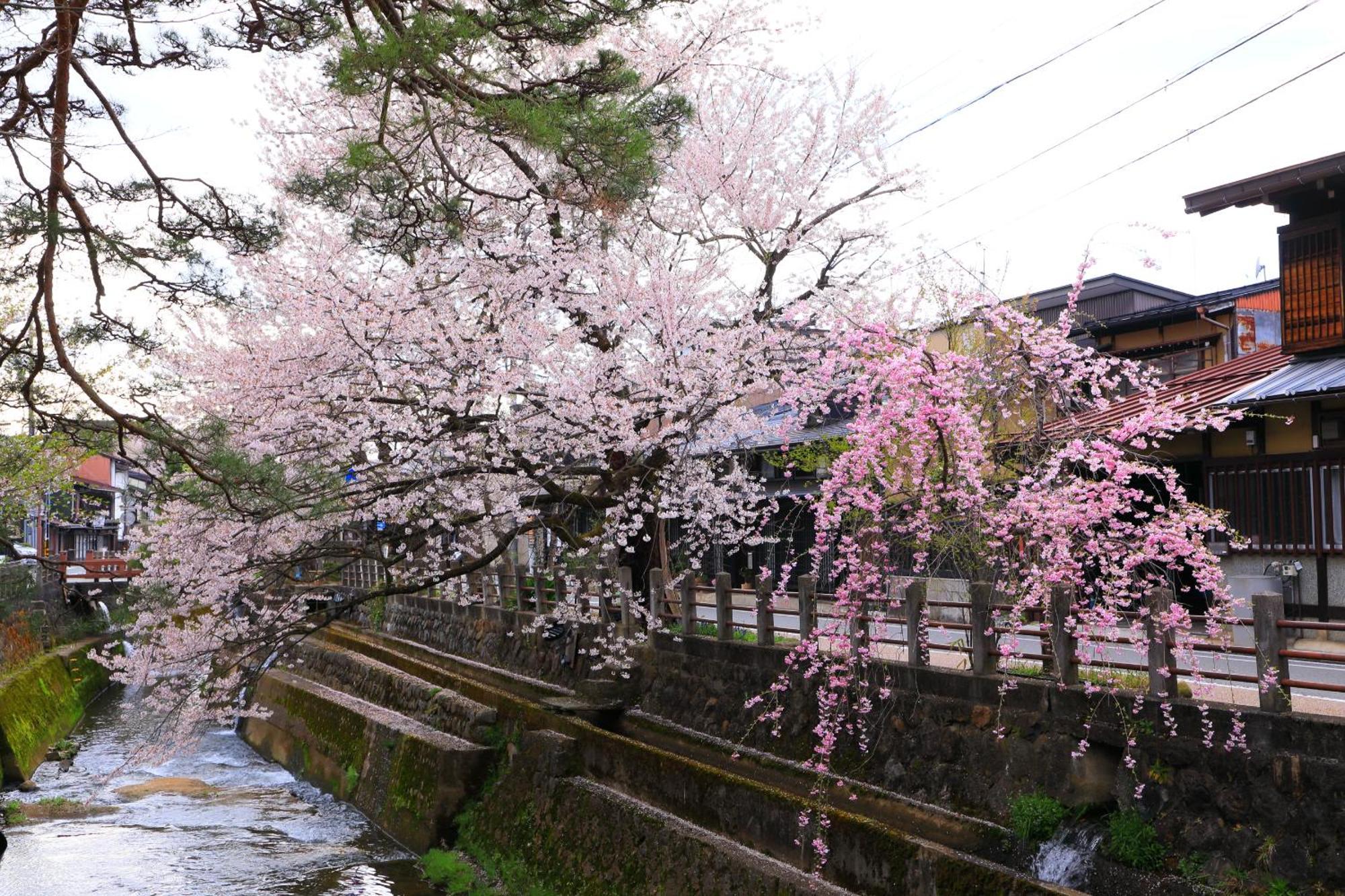 高山ステイ 櫟 ～ いちい ～
